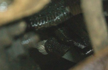 Компьютерная диагностика Пежо 407 (подробные фото и видео)