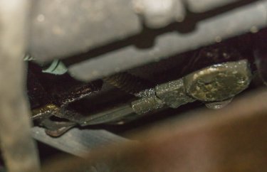 Компьютерная диагностика Пежо 407 (подробные фото и видео)